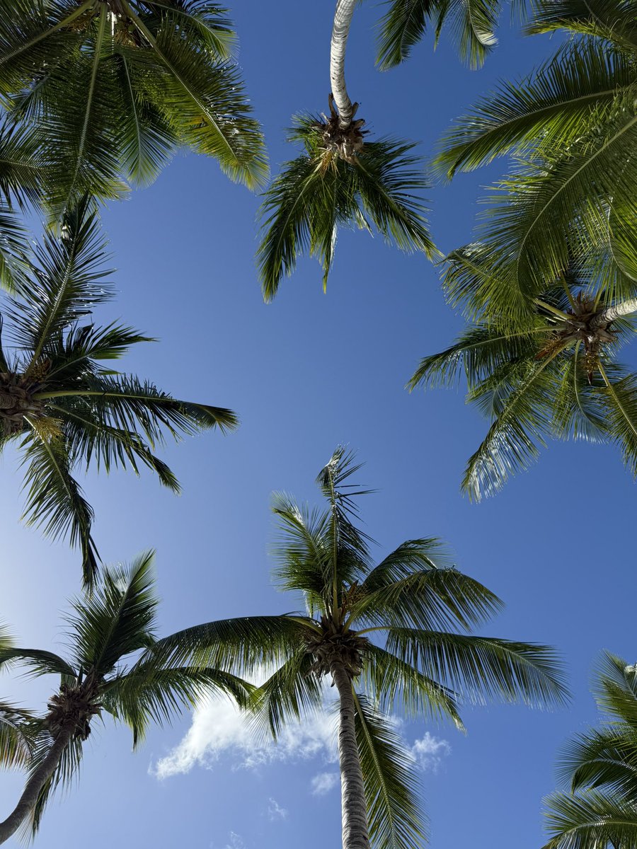 jasmine__cote's tweet photo. Punta Cana https://t.co/MExQPuCkx0