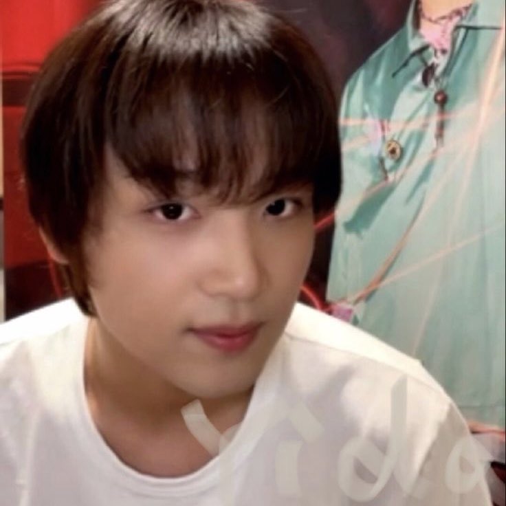 ตัดหน้าม้าให้แมวอ้วม