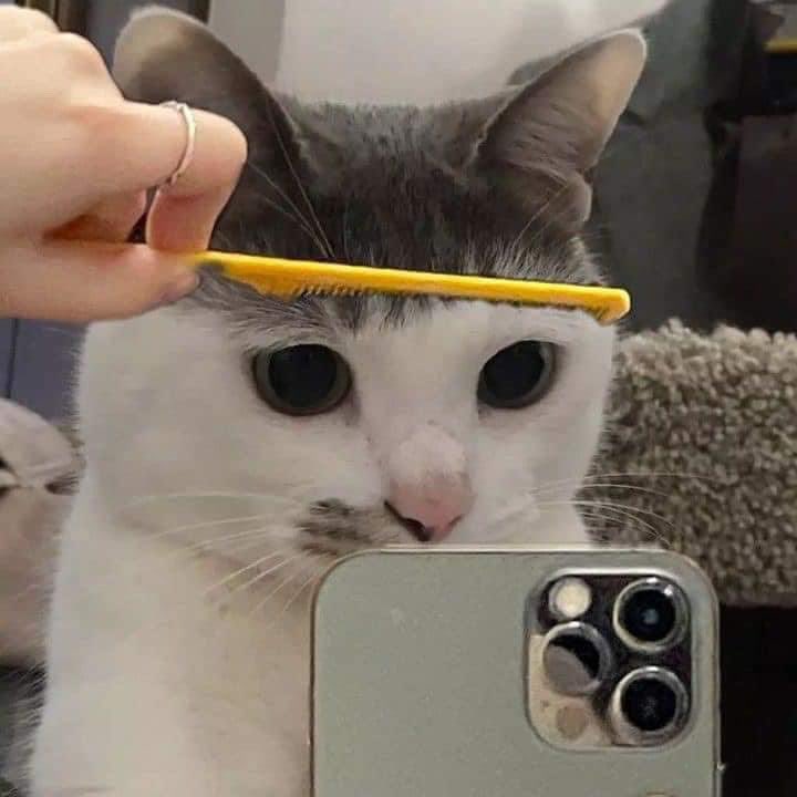 jamínd ✿ tweet media