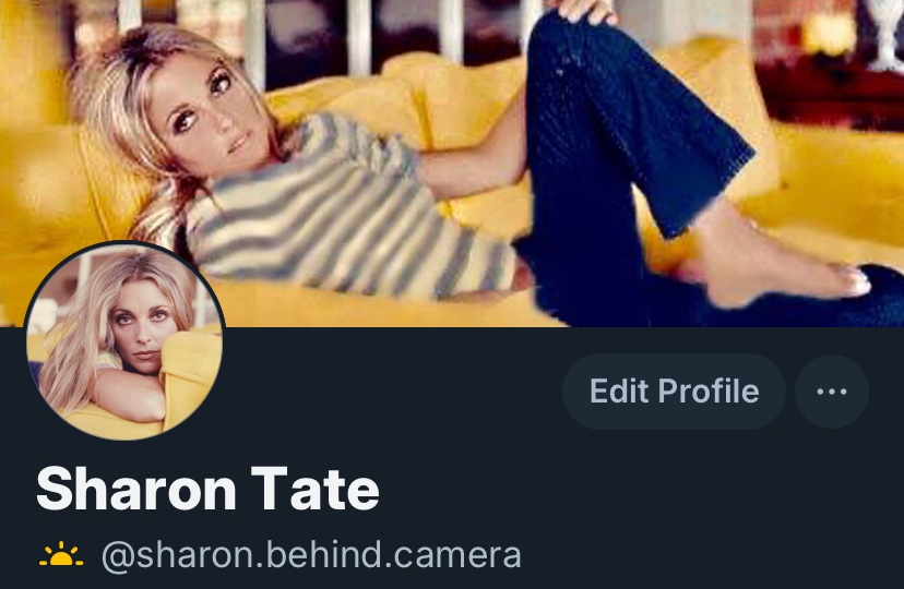 𝐒𝐇𝐀𝐑𝐎𝐍 tweet media