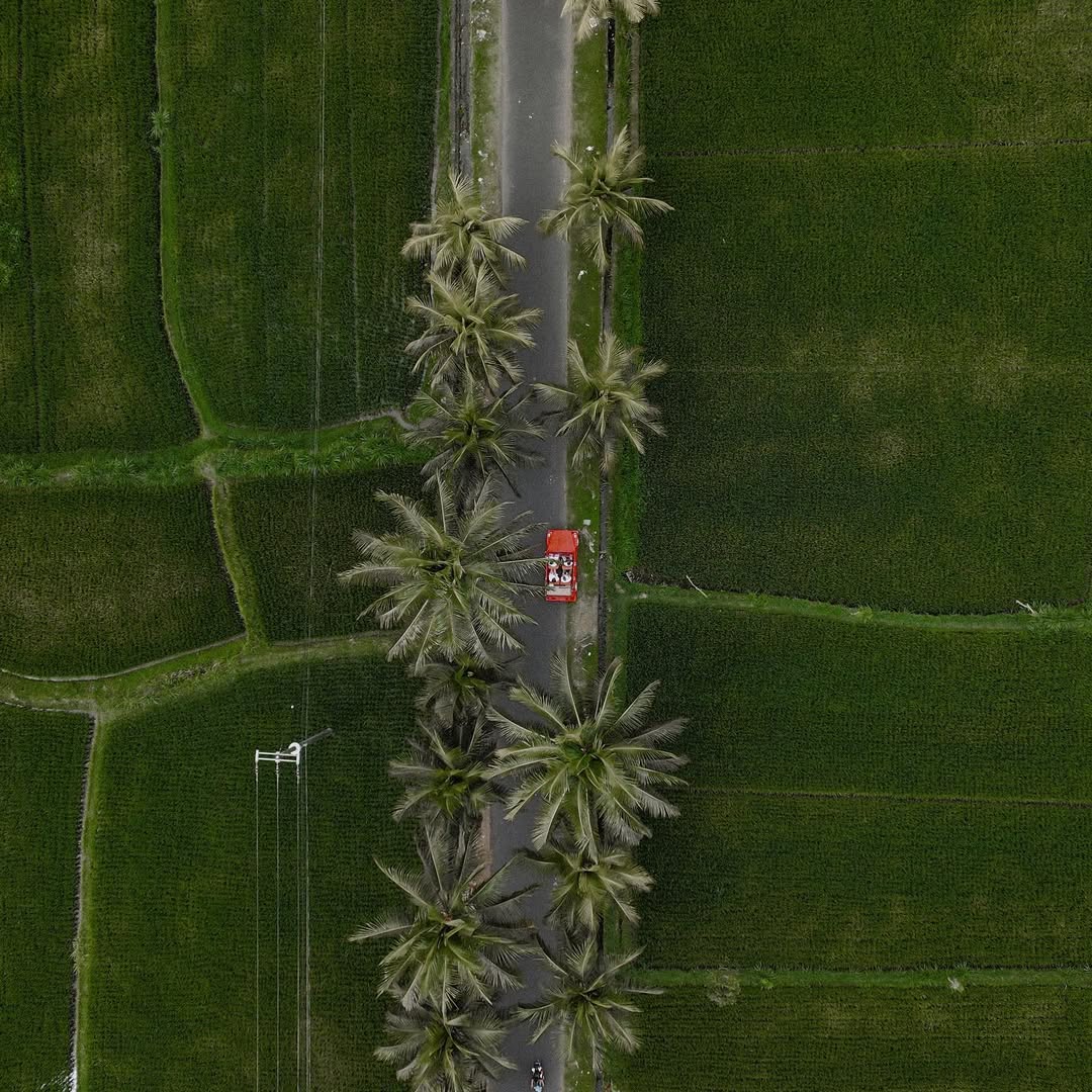 FSBali's tweet image. Hop in, your VW tour is about to begin! Follow the path less travelled like @romyplly  who snapped this ricefield view on our 'Can You Keep A Secret' tour. #ExperienceFS #WhenInbali
