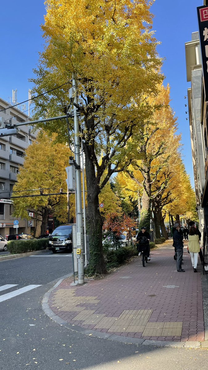 Tokyo lagi kuning-kuningnyaa