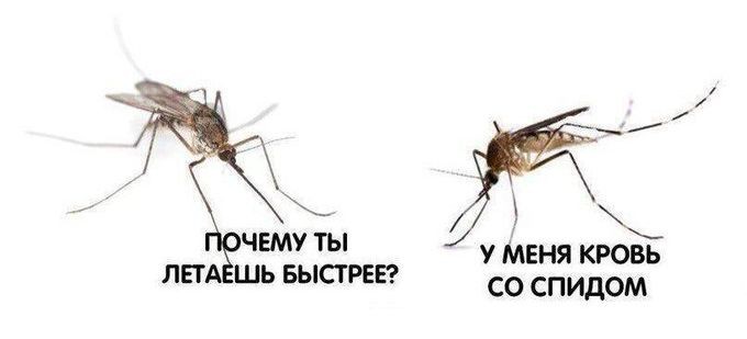 (не)воскресшая пиратка рокерша (@midnattrafff) on Twitter photo 