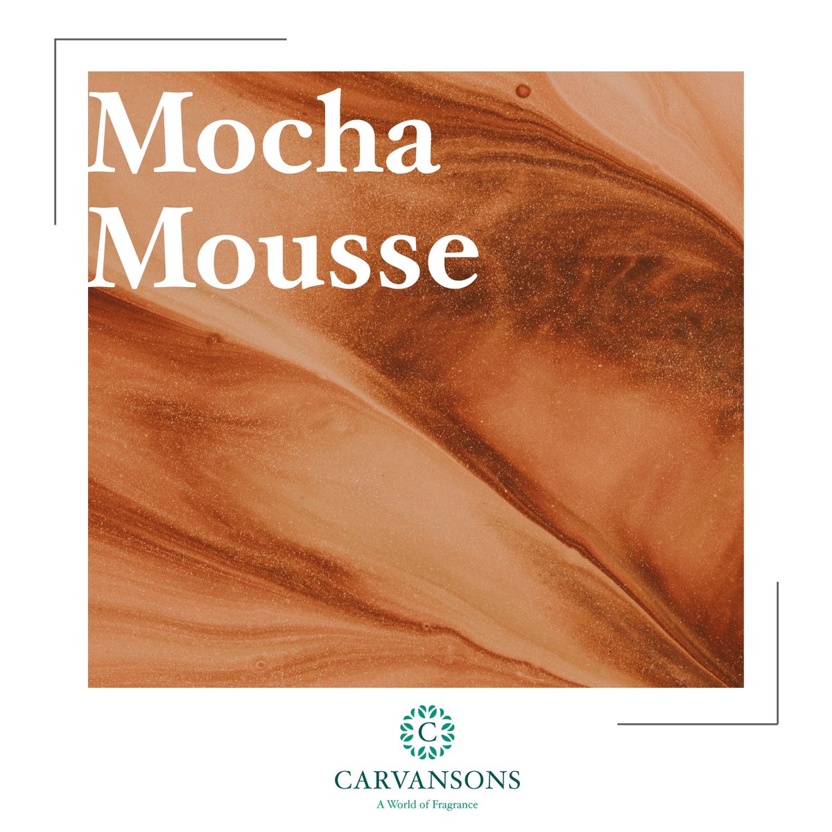 CarvansonsLtd's tweet photo. Mocha Mouse: Pantone’s Colour of the Year
We are seeing more simple suede tones as well as the continued love gourmand pleasures such as coffee, chocolate and marshmallow. All of these notes have featured heavily in a number of big launches of late.
#pantone #trends #fragrance https://t.co/kgYt36fScV