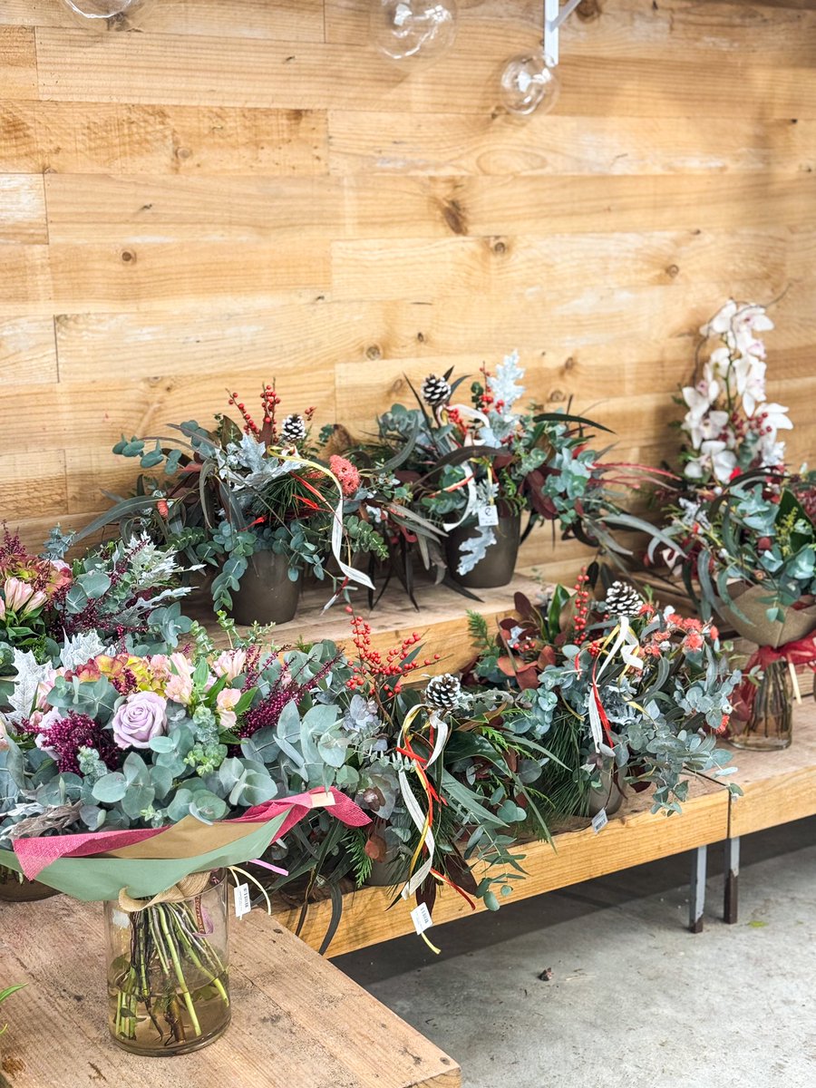 Vivers Ernest 🧡 Home & Garden tweet media