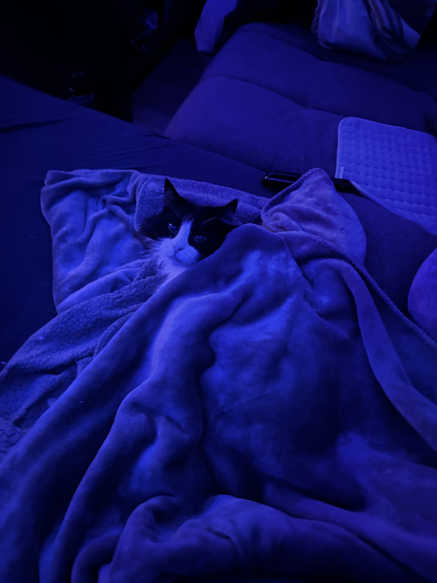 Missy Update❤️
Am 31.12. ist sie offiziell aus der Wartezeit. Allerdings meint unsere Betreuerin das man bei den aktuellen Werten schonmal sagen kann das sie #FipFree ist. Danke an alle die damals gespendet hatten, nur deswegen ist sie noch da und bleibt es auch🥺❤️