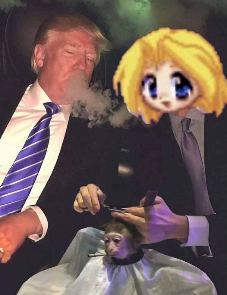 Clean hairline before the storm

12-**-2024