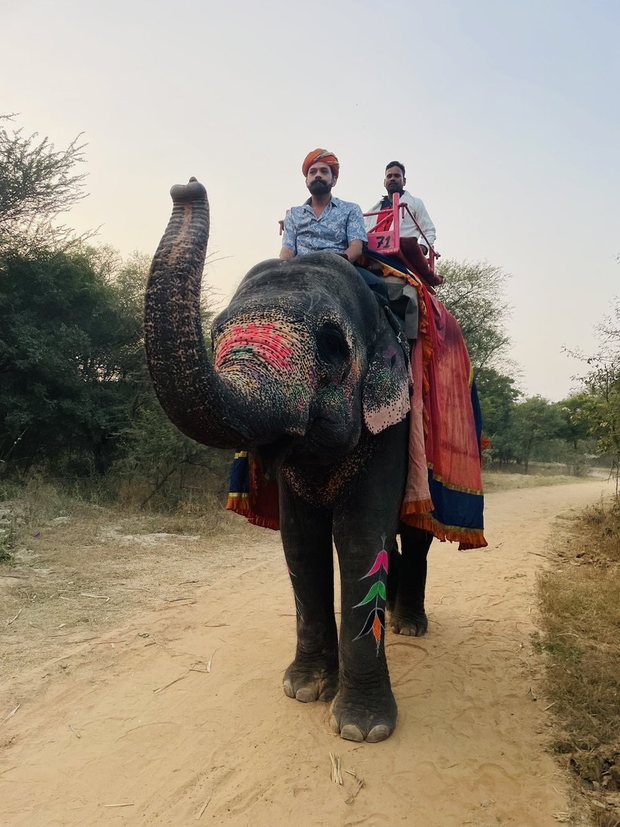 Daniel Ortiz-Morales, MD. MSc (@drmicrobito) on Twitter photo El Único y original: Marajá de Pocajú 👳🏾♂️🐘🇮🇳 El Único y original: Marajá de Pocajú 👳🏾♂️🐘🇮🇳