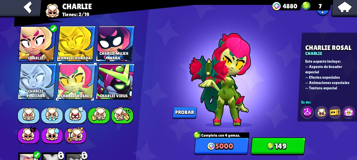 Gato de los Sueños tweet media