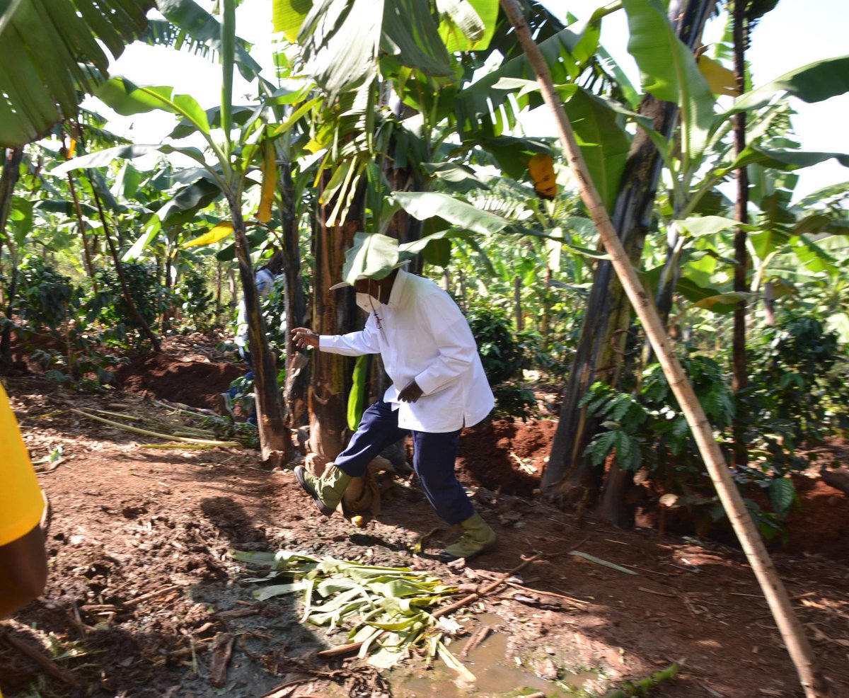 sharon_atamba's tweet photo. Bukwo district 
#WealthCreation https://t.co/v1U7PDdA2f