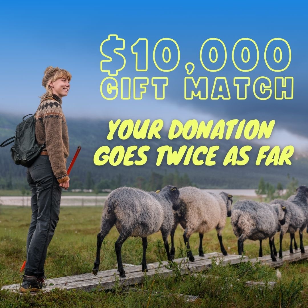 Starting today, all donations to Savory Institute will be matched dollar-for-dollar up to $10,000.

Regenerate 2X the land &amp; help us unlock the entire gift match: savory.global/2024-donor-dri…