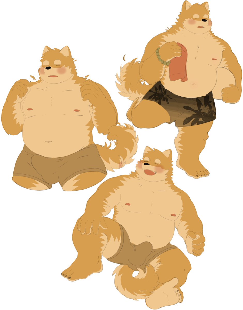 极地海豹幼崽 tweet media