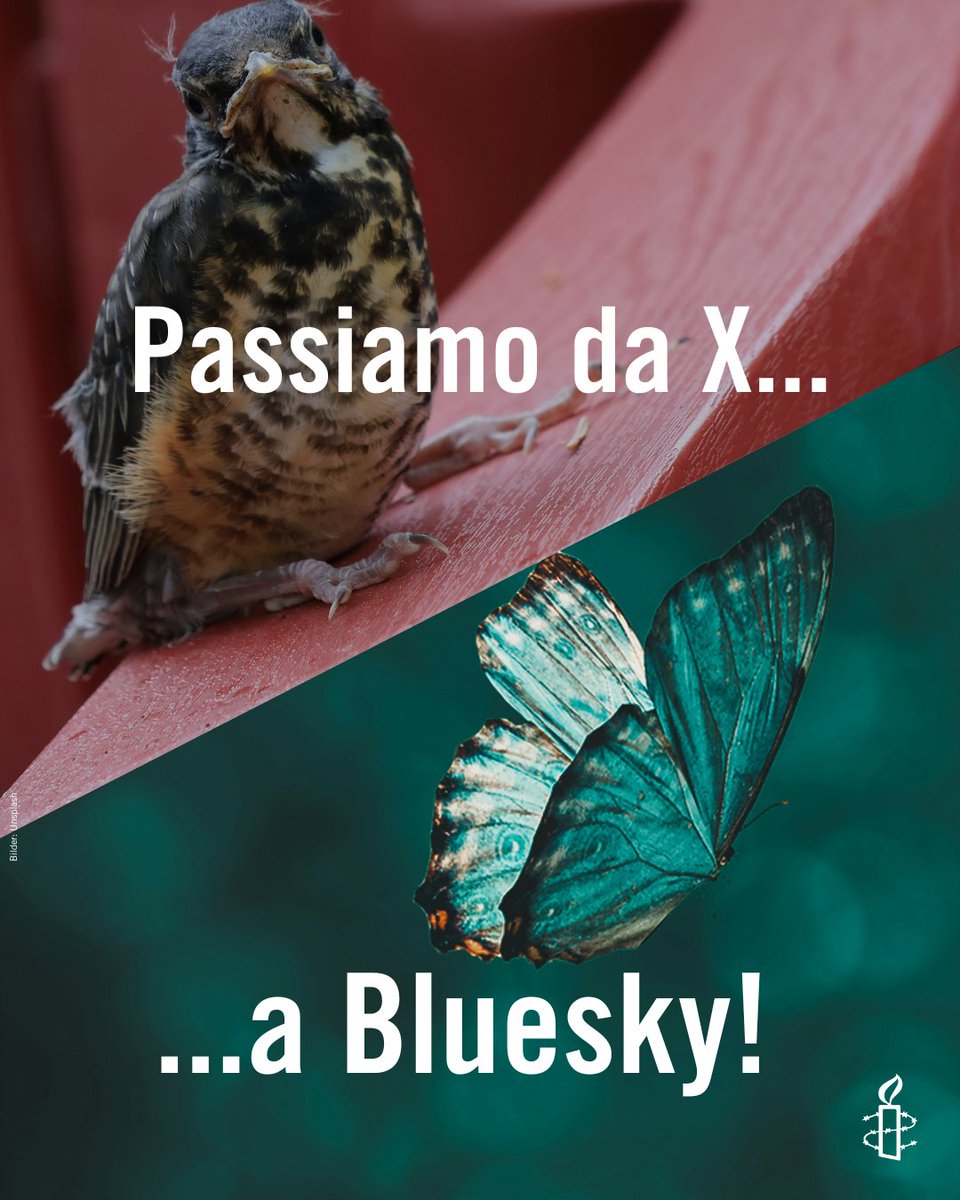 È più importante che mai comunicare sui diritti umani. Ma vogliamo farlo in modo aperto e costruttivo. Ecco perché 
@Amnesty_Svizzera lascia #X per #Bluesky! 
ci trovate qui:
bsky.app/profile/amnest… (D); bsky.app/profile/amnest… (FR) e bsky.app/profile/amnest… (IT).
