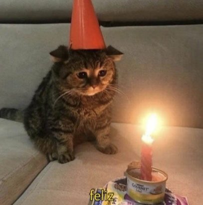 lonelyly_cat's tweet photo. ✨✨🐱Lonely Cat Meme Contest🐱✨✨

Calling all meme lords and ladies!

Join our Lonely Cat Meme Contest and show us your funniest, most creative memes!

Prizes:

- 5 winners will split a total of $200!

How to Enter:

1. Create a meme featuring our Lonely Cat character
2. Post your meme on social media (Twitter, etc.)
3. Tag us @[Your Project Handle]
4. Use the hashtag #LonelyCatMemeContest

Contest Rules:
- Must the following our X and @Becky_rosella 
- Memes must feature our Lonely Cat character
- Memes must be original and created by the submitter
- Memes must be respectful and follow community guidelines
- Contest open to participants worldwide

Judging Criteria:

- Creativity and originality
- Humor and entertainment value
- Relevance to the Lonely Cat theme

Contest Timeline:

- Submission period: [Now - 17th Dec 23:59 UTC]
- Winner announcement: [18th Dec]

Get Creative and Show Us Your Best Memes!

We can't wait to see what you come up with!

Good luck, and may the funniest meme win!