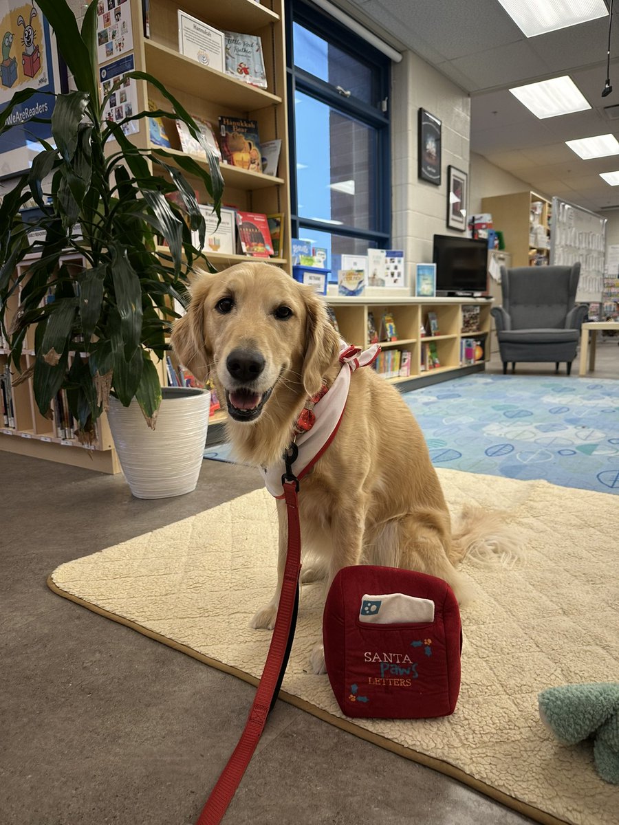 Tuesdays are for Paws for Reading ✨ Gracie is showing off her Santa letter 📪💌