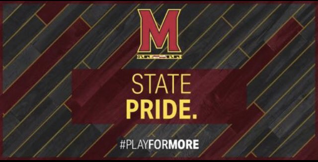 SWAGGERTERP tweet media