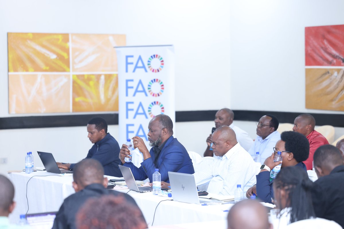 FAO in Rwanda tweet media