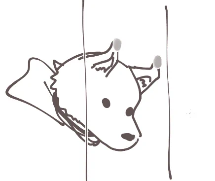 最近窓で耳折れてるやつすき 