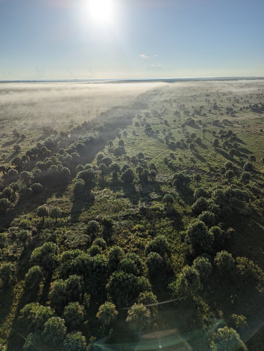 Morning Paramotor flight in Florida