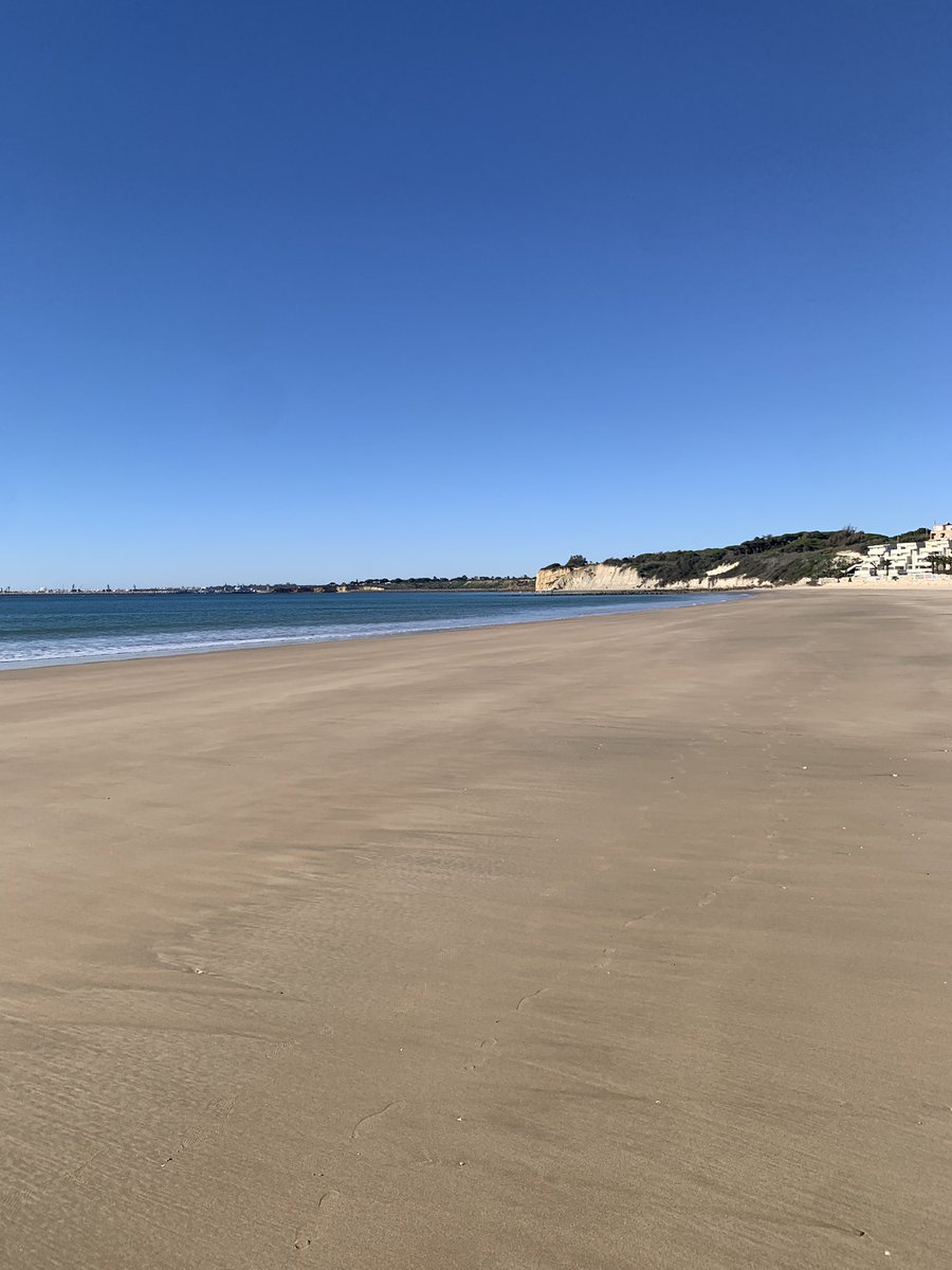 Antonio ADardet tweet media