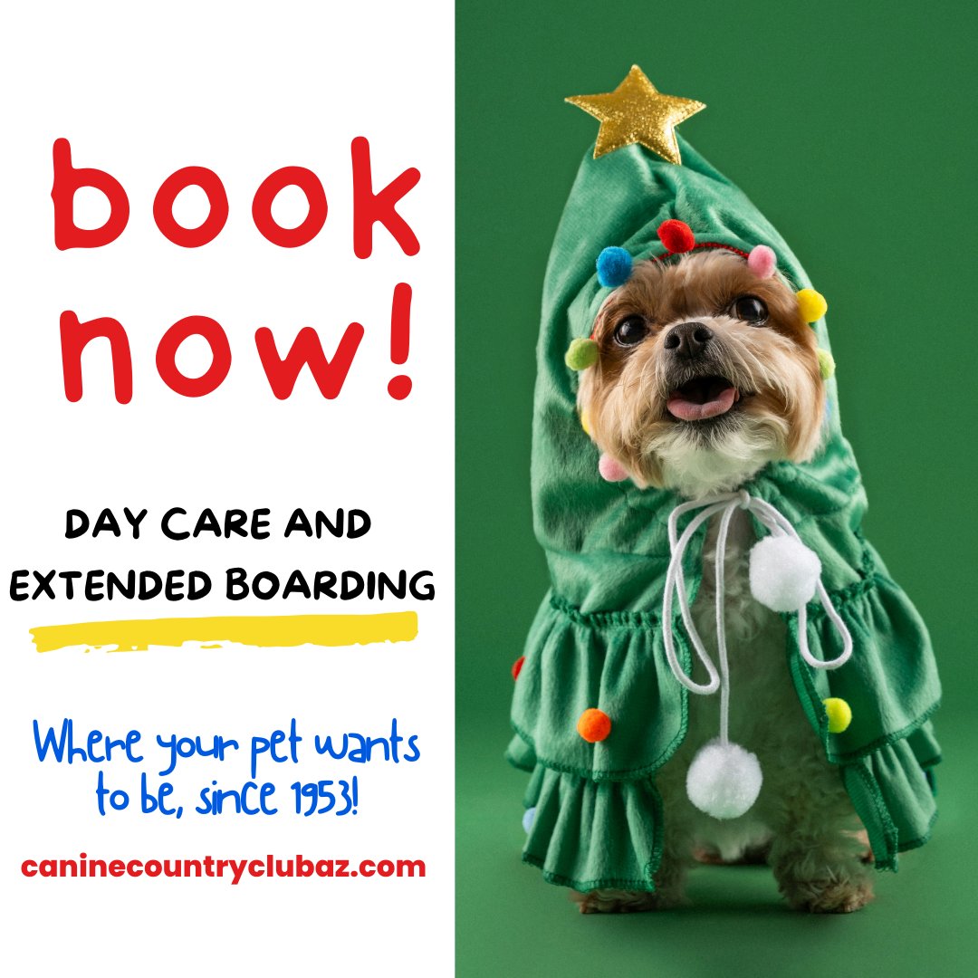 🎅🏼🎄 'Tis the season for tail wags and purrs! Give your pet the ultimate holiday treat and book their stay at Canine Country Club &amp; Feline Inn today! 🐾✨

Book Now! caninecountryclubaz.com