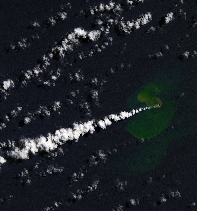 meteoredcom's tweet photo. 🌋 #HomeReef is a small Pacific island, part of the Tonga archipelago. It can be said that it is ephemeral, because it can disappear and re-emerge.

🛰️ On December 7, @Copernicuseu and NASA, recorded a new eruption. https://t.co/kUG6TI1Ekd