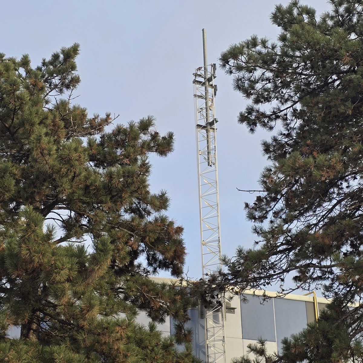 Broadcast-Broadband Convergence B²C Lab (@humber_b2c_lab) on Twitter photo Our world-class ATSC 3.0 broadcast test bed covering the Toronto region is being upgraded with new permanent antenna masts.
First mast is going up at <a href="/HumberPoly/">Humber Polytechnic</a> Centre for Skilled Trades and Technology on Carrier Dr. Barrett CTI and Lakeshore sites are up next! Our world-class ATSC 3.0 broadcast test bed covering the Toronto region is being upgraded with new permanent antenna masts.
First mast is going up at <a href="/HumberPoly/">Humber Polytechnic</a> Centre for Skilled Trades and Technology on Carrier Dr. Barrett CTI and Lakeshore sites are up next!