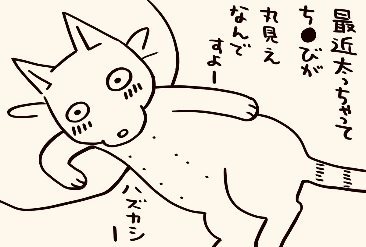 ダイエットさせなきゃ…

#猫が4匹いる暮らし 