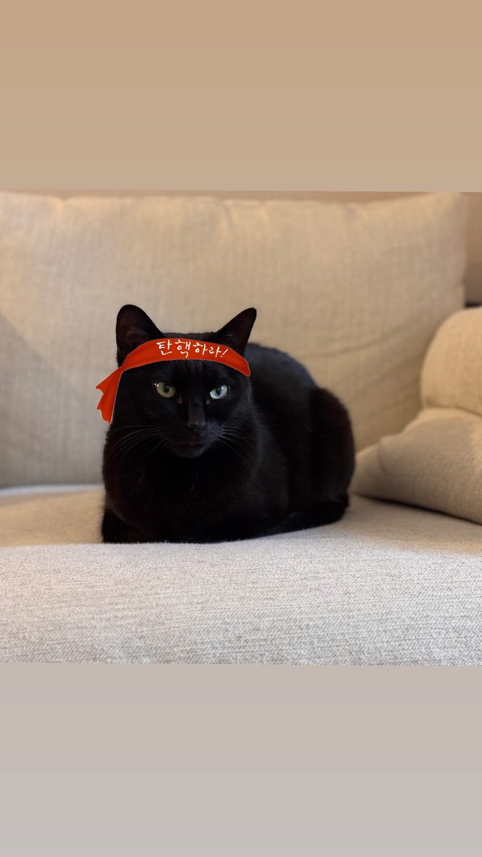 자고로 옛말에 고양이 말을 잘 들어야 나라가 태평성대에 들 수 있다 했음