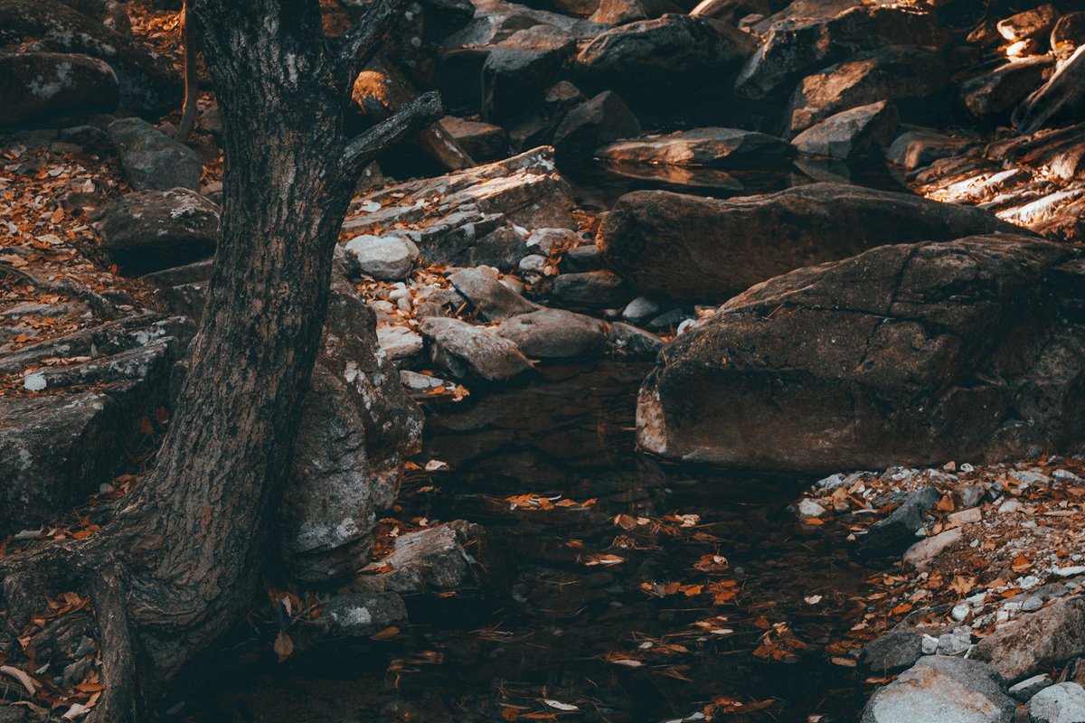 OpenThink (@dalopenthink) on Twitter photo Groundwater… a critical invisible resource.💧<a href="/benrcollison/">Ben Collison</a> discusses the future of global groundwater supplies in his final blog post #DalOpenThink
ow.ly/2CyO50UjzOR Groundwater… a critical invisible resource.💧<a href="/benrcollison/">Ben Collison</a> discusses the future of global groundwater supplies in his final blog post #DalOpenThink
ow.ly/2CyO50UjzOR
