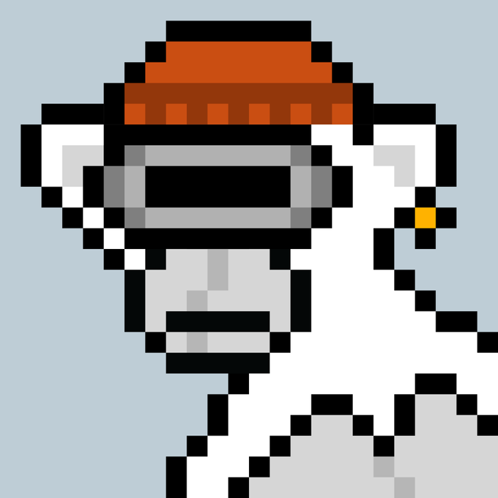 due to market conditions ive put VR goggles so i can live in a perfect world simulation 

1. $100 XRP 
2. First Ledger partners with Donald Trump to create the ZTF (zoomer task force)
3. We clone adam 100x times