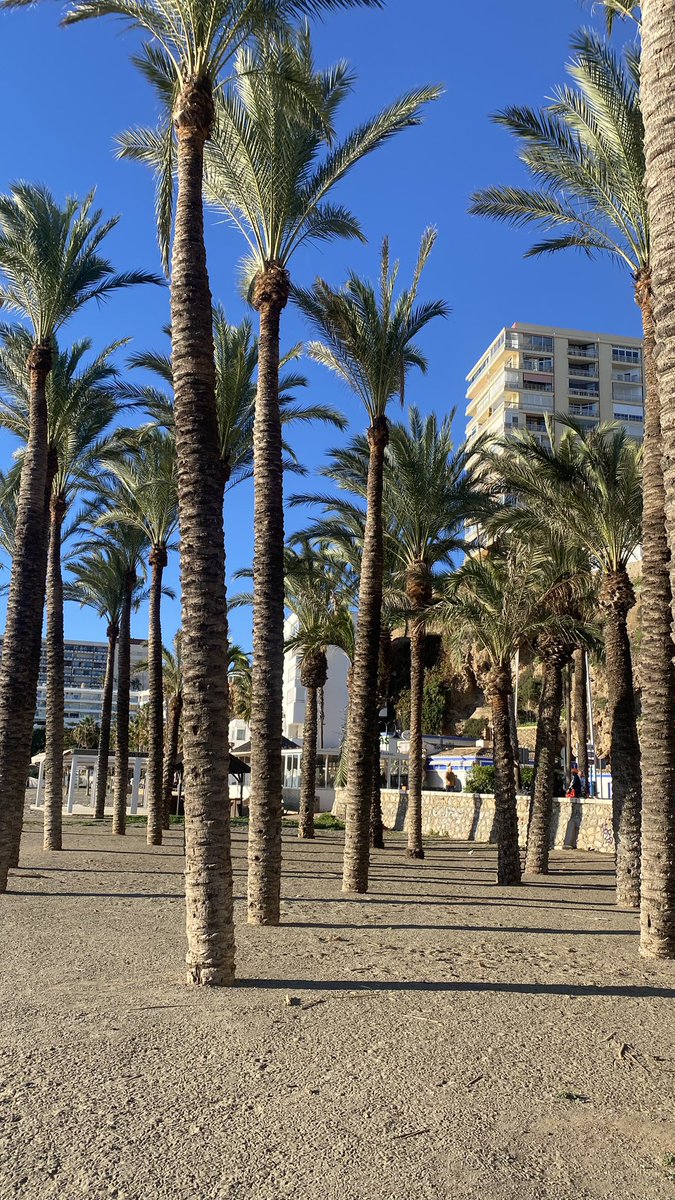 Torremolinos is so beautiful small city 🌴☀️🌊🏖️🏝️#Torremolinos #Malaga #Andalucia #España
