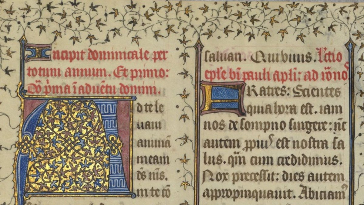 Mercredi 11 décembre à 10h, retrouvez Charlotte Denoël pour une conférence en ligne autour de l'exposition "Feuilleter Notre-Dame". 📚
Inscriptions sur le site de Storia Mundi.
👉 app.storiamundi.com/conferences/ec…
#BibliothequeNotreDame