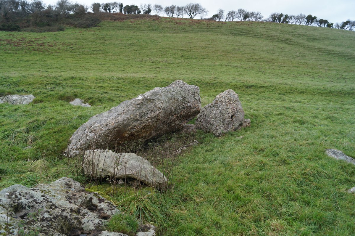 PastParticipate tweet media