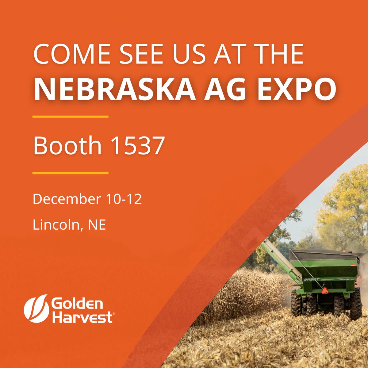 Golden Harvest Seeds tweet media