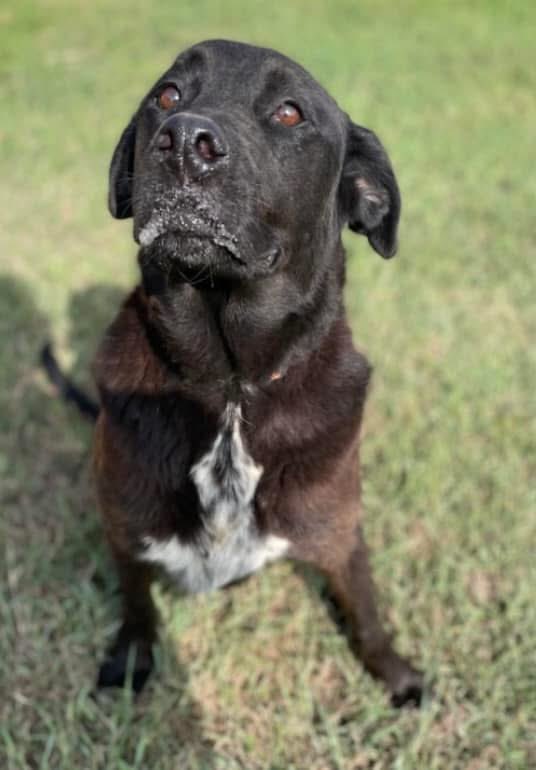 Lisa Brabson. tweet media