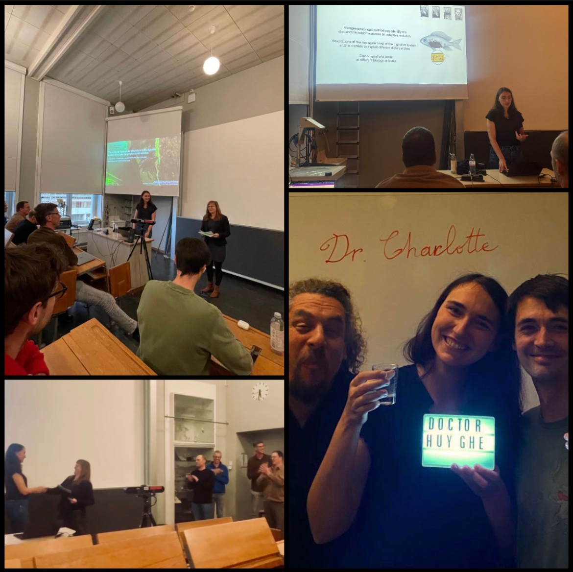 Charlotte Huyghe (@charlottehuygh6) on Twitter photo Last Friday, I defended my PhD work of the last 4 years and officially became a Doctor in Biology!! π¨ππ§¬π π€πΎ <a href="/WSalzburger/">Walter Salzburger Lab</a> Last Friday, I defended my PhD work of the last 4 years and officially became a Doctor in Biology!! π¨ππ§¬π π€πΎ <a href="/WSalzburger/">Walter Salzburger Lab</a>