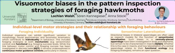 Cross-posting with 🦋☁️, but if you’re going to be at the Foraging/Information Seeking conference in Lyon this week, let’s talk! Excited to be presenting a poster (see preview) about visuomotor control, individuality, and computational ethology.  🔍