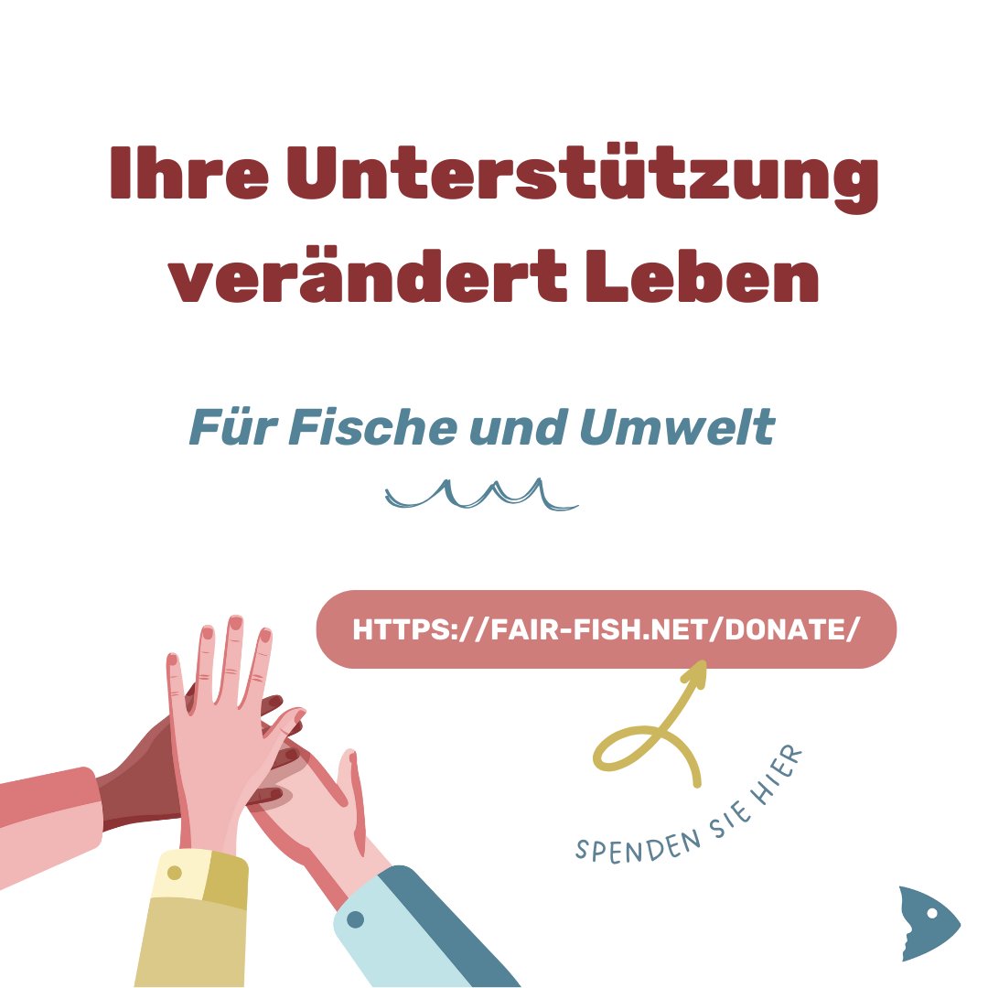 fair-fish tweet media