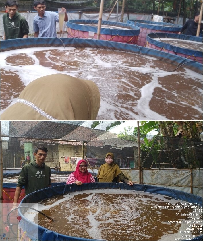 LKobog's tweet photo. Selasa (10/12), Ainun, Luhkan Kota Bogor, pendampingan DIF bioflok SiPanen di Pokdakan Mina Ciranjang Kelurahan Pamoyanan Kec. Bogor Selatan.
#GiatLuhkanSatminkalBogor #ktbgr #aktivitas
@pusluhkp
@brpbatpp_bogor
@bppsdm_kp https://t.co/VeS0f94Yi1