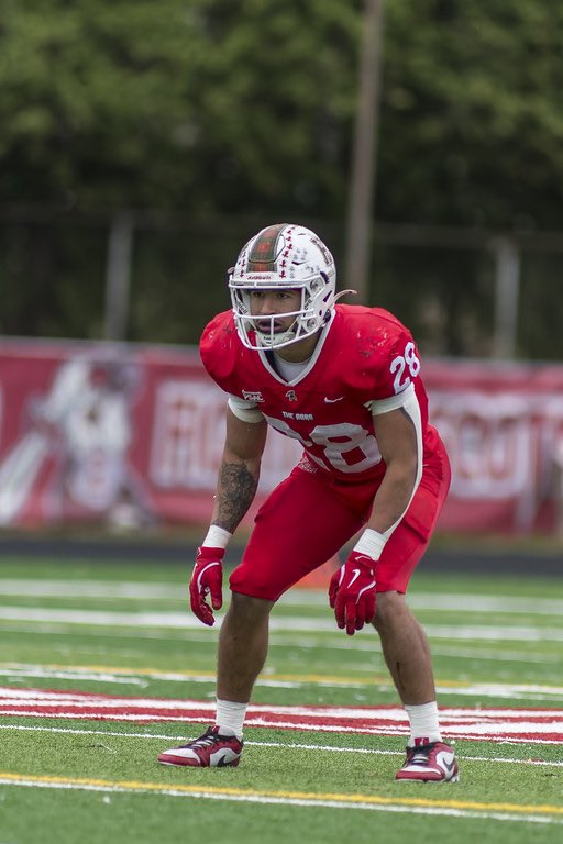 Wilfredo Dominick Diaz tweet media