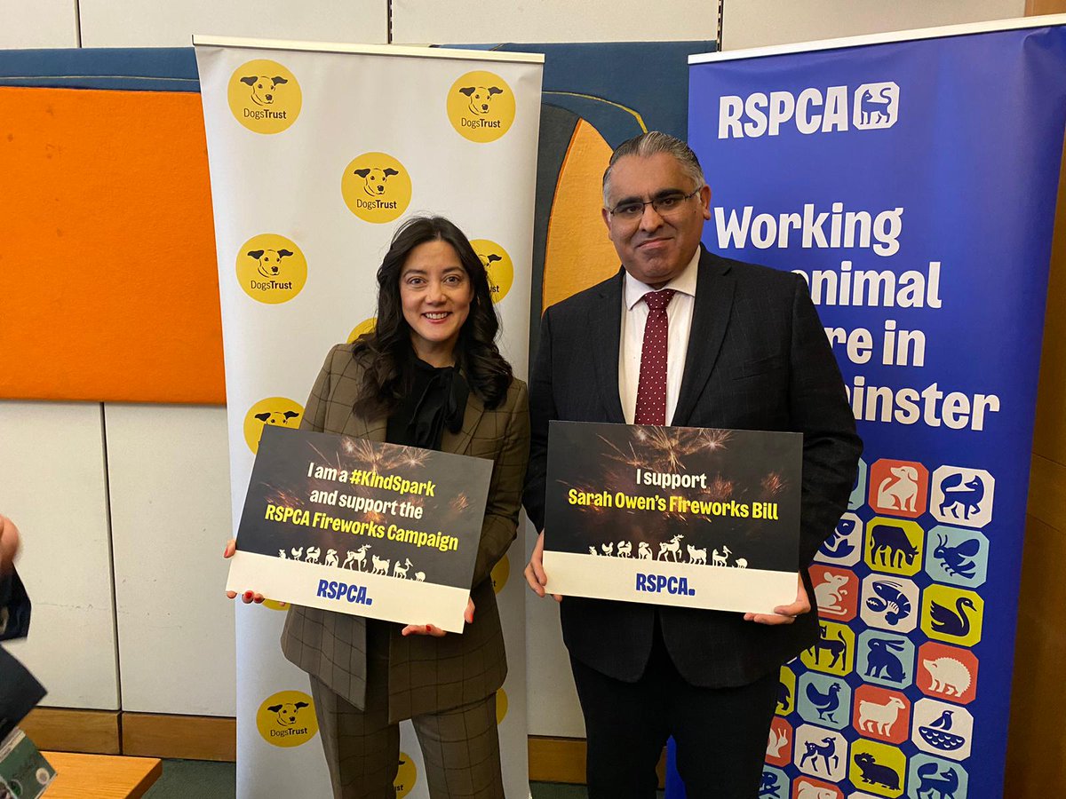 I support Sarah Owen's #FireworksBill, which aims to not only reduce firework noise pollution, but also work towards creating a safer environment for animals. 

By restricting the sale and use of fireworks, we can reduce the emotional and financial stress loud noises have on