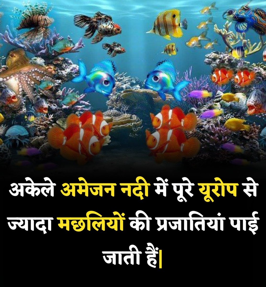 KaranJatav37746's tweet image. Do you know this fact 😉 #facthub #amezing #trend #facts #Syria #intersting #GranHermano