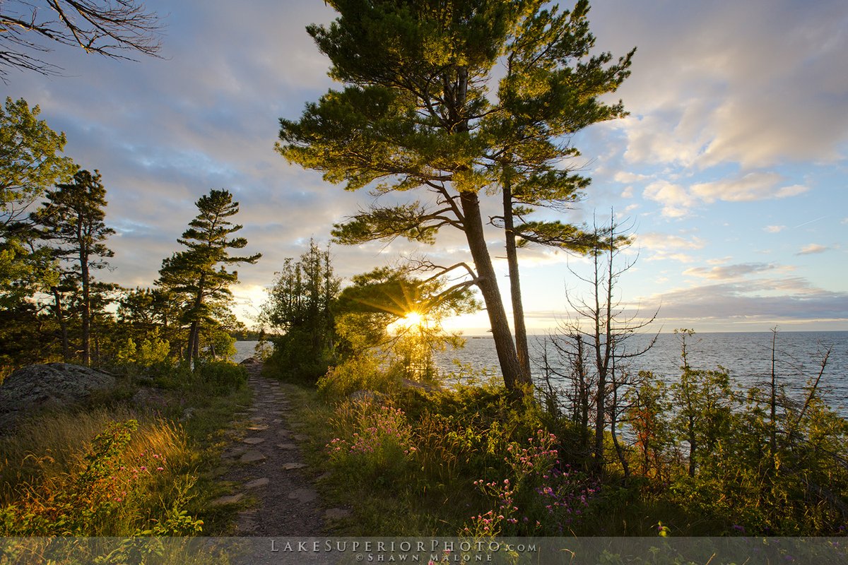 LAKSuperiorFoto's tweet photo. Here's a few sunlit🌞 golden light Lake Superior landscapes from the Upper Peninsula of Mi for anyone weary of these endless gray sky days 🌨️
4 days until our downtown gallery open house ✨