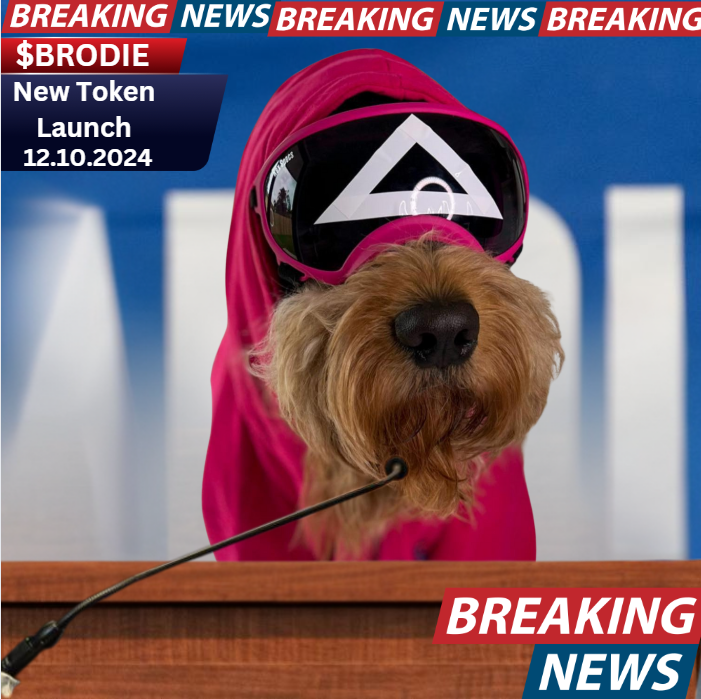 hodltilzero's tweet photo. 🚨Breaking News🚨 $BRODIE is just a few Hours away!

Join the TG: https://t.co/tzBKSdXh3z

#Memecoins #solana @KookCapitalLLC  @metaversejoji @mrsolana69 @ramonos  #x1000gem https://t.co/QfJX6mIBaC