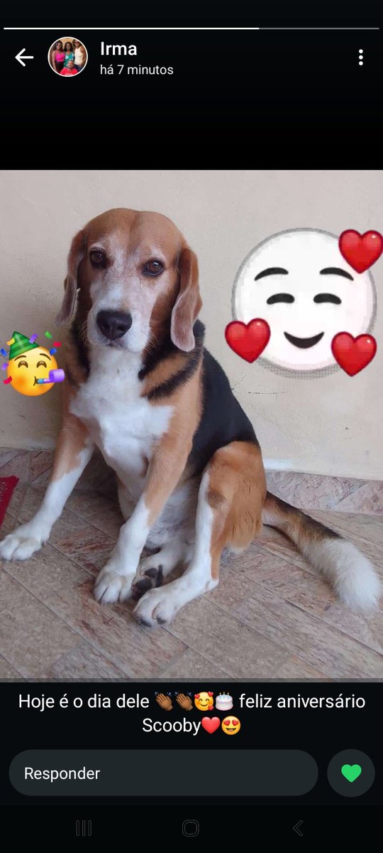 Limafa_biola's tweet photo. Aniversário  do meu neto 🥰🥰🥰🥰
Te amoooo escoby❤ https://t.co/t18Sv7GHEV