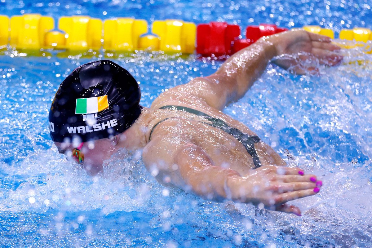 Shane Dawson tweet media