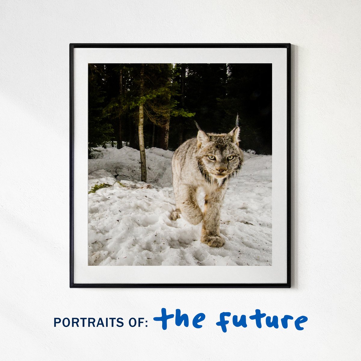 Allen Family Philanthropies tweet media