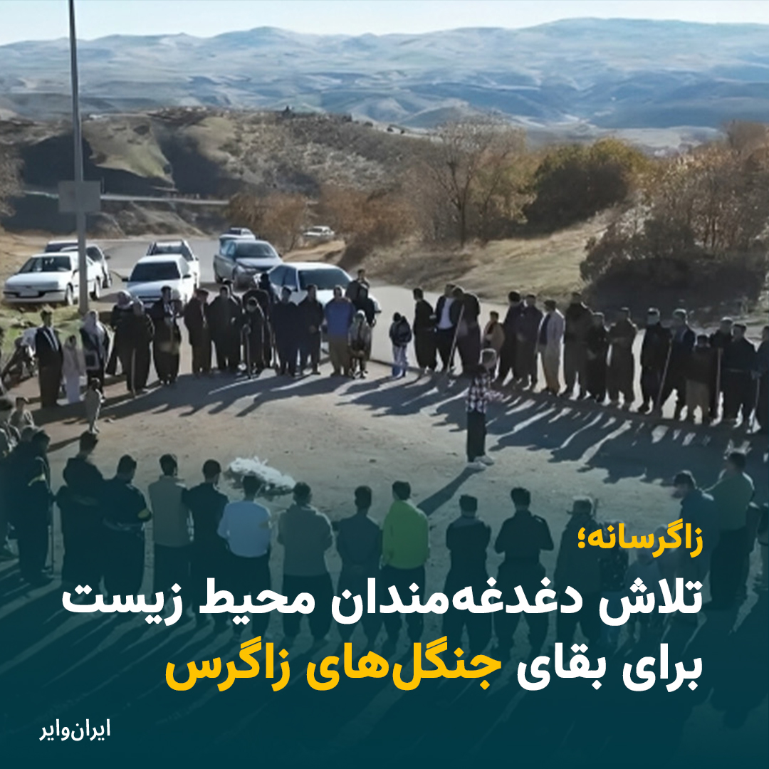 iranwire's tweet photo. امسال ششمین سال برگزاری «پویش زاگرسانه» است. پویش زاگرسانه چیست و چه کمکی به حفظ جنگل‌های «زاگرس» می‌کند؟
گزارش کامل در «ایران‌وایر»:
https://t.co/GNTMf6Hf1n
#محیط_زیست https://t.co/v0Whr5BS2g