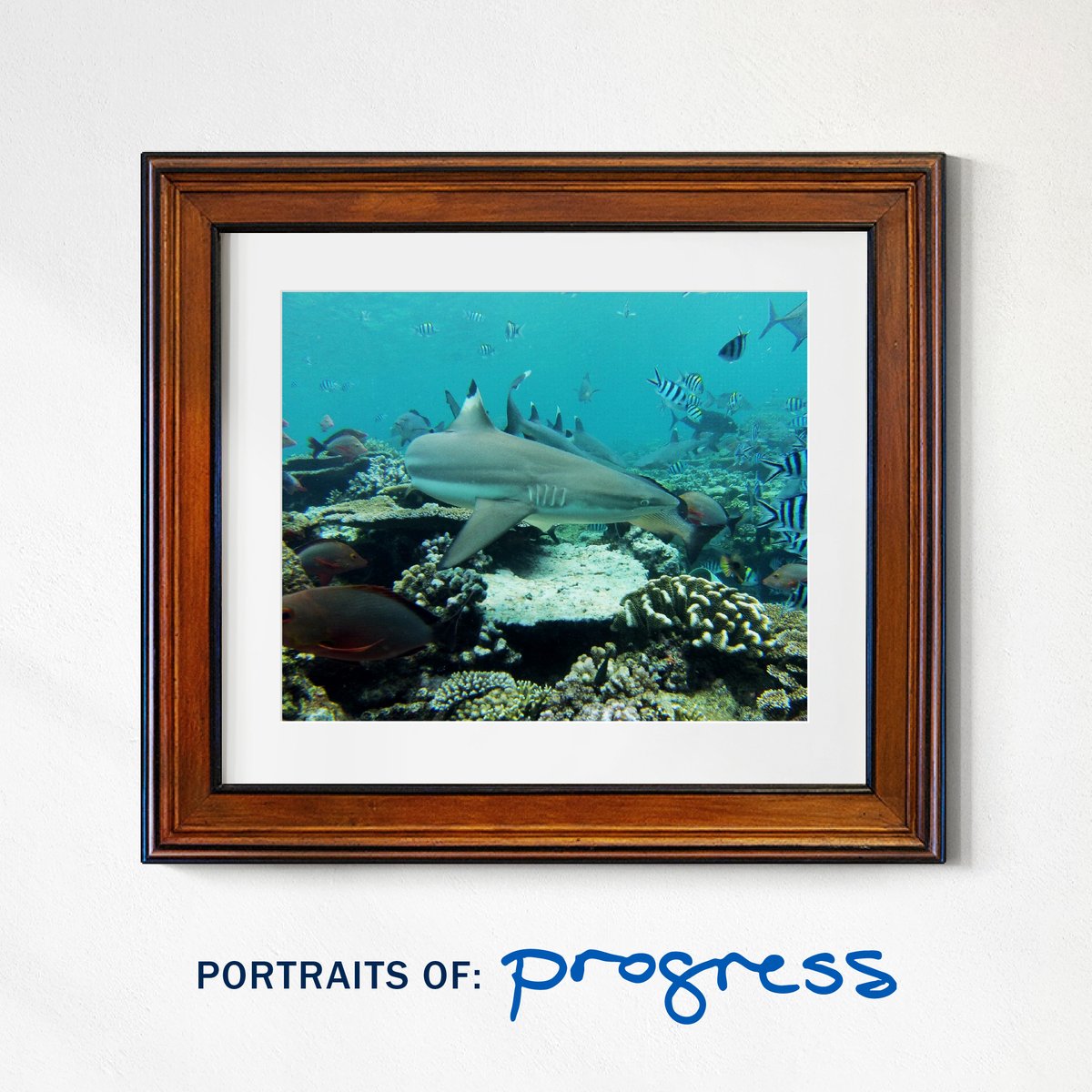 As the 2024 comes to a close, we are reflecting on the organizations and individuals who work hard to forge creative connections and preserve our environment for future generations 🎉